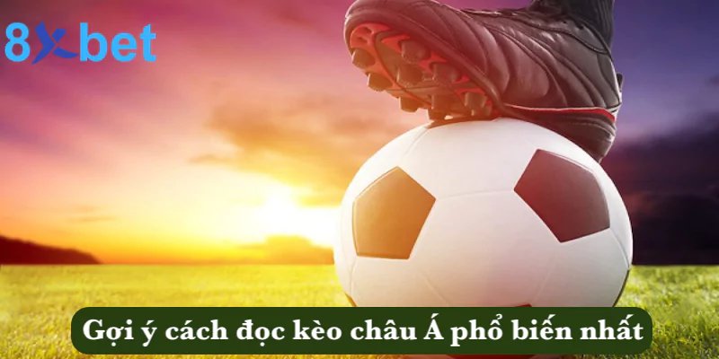 Kèo châu Á - Kinh nghiệm đặt cược kèo tại 8xbet thắng đậm Gợi ý cách đọc kèo bóng châu Á phổ biến nhất