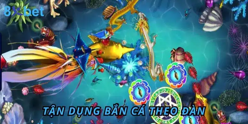 Bắn Cá Đổi Thưởng 8Xbet – Giải Trí Đỉnh, Săn Thưởng Khủng Tận dụng bắn cá theo đàn